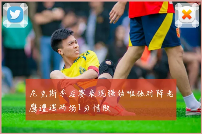 尼克斯季后赛表现强劲唯独对阵老鹰遭遇两场1分惜败